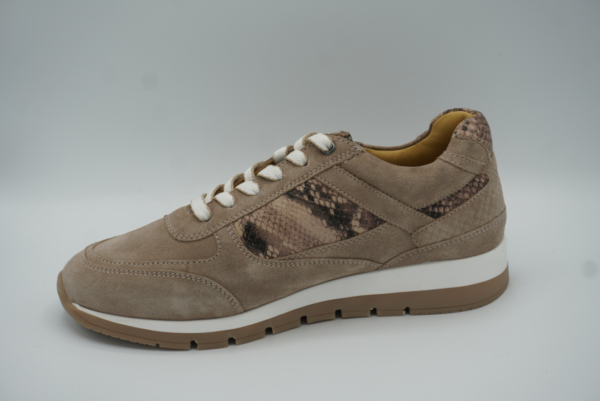 281.001 Beige python print beige H sneaker Helioform