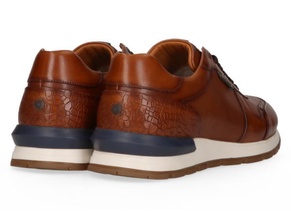 1625 Cambridge cognac sneaker Australian