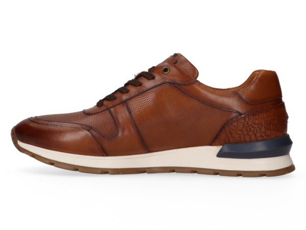 1625 Cambridge cognac sneaker Australian