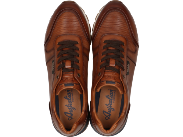 1625 Cambridge cognac sneaker Australian