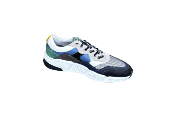 Australian Thierry grey blue green sneaker
