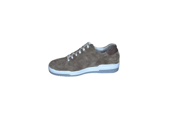 Gijs Sneaker taupe K rob suede