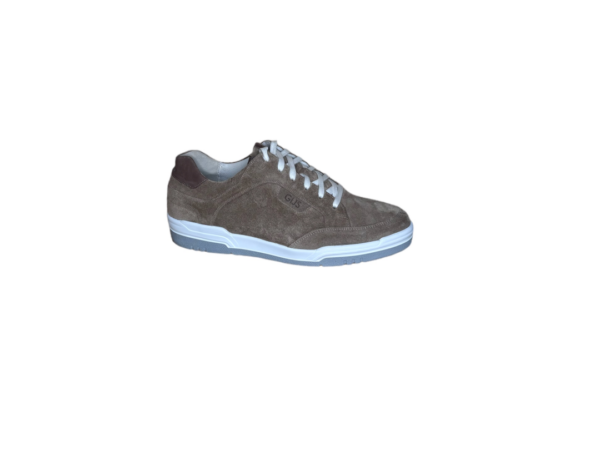 Gijs Sneaker taupe K rob suede