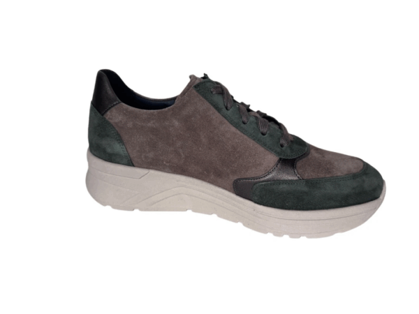 Solidus Holly green multi H
