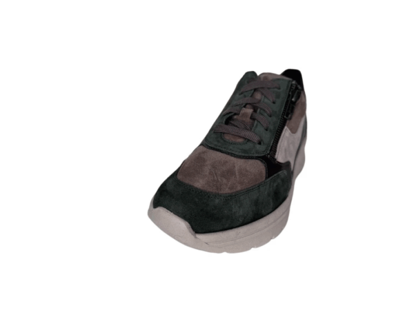 Solidus Holly green multi H