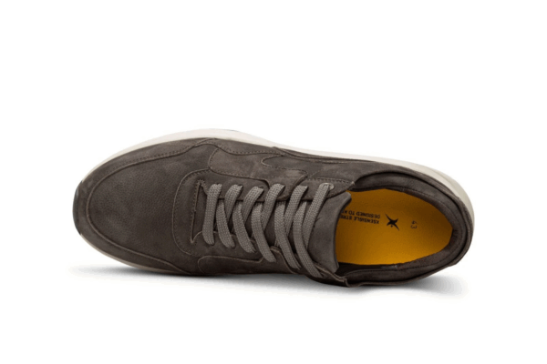 Xsensible Golden gate men carbon grijs H