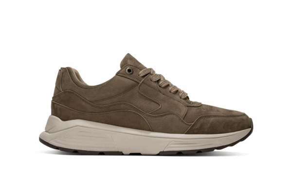 Xsensible Golden gate men groen H
