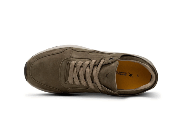 Xsensible Golden gate men groen H