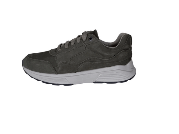 Xsensible Golden gate men groen H