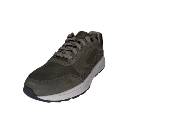 Xsensible Golden gate men groen H