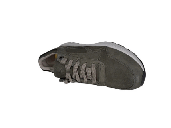 Xsensible Golden gate men groen H