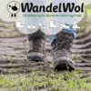 wandelwol 20 gram