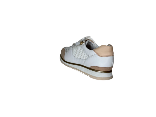 Hassia Porto sneaker wit zand H