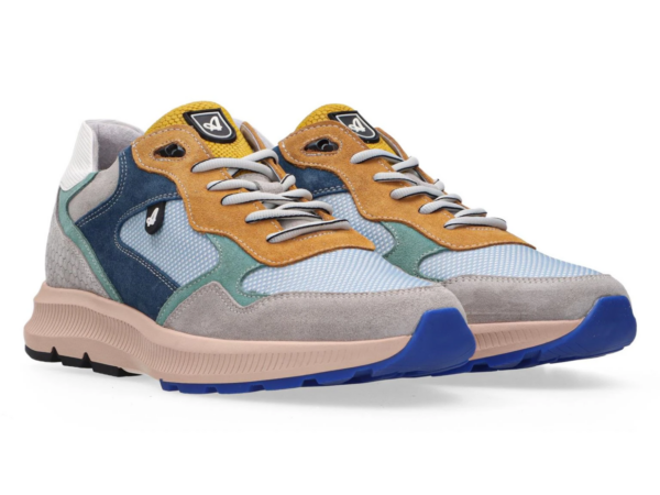 Australian Cadiz blue H