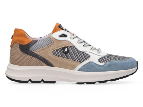 Australian Cadiz blue H