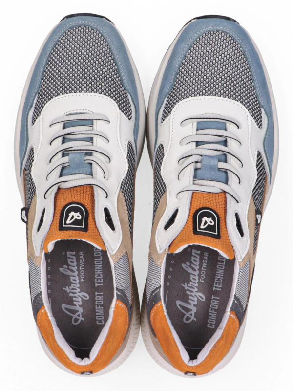 Australian Cadiz blue H