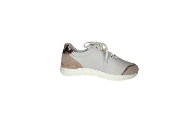 Hassia Bordeaux sneaker creme multi H