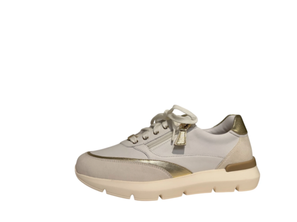 Hassia Bordeaux sneaker wit goud H