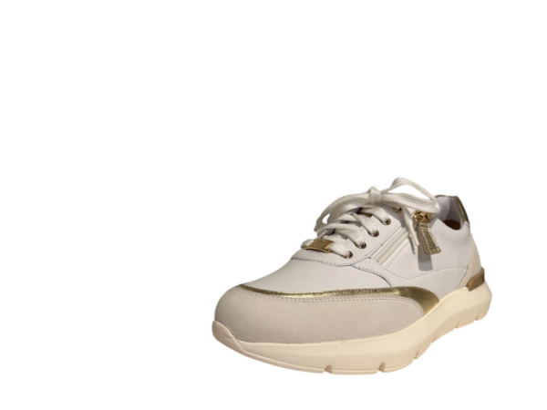 Hassia Bordeaux sneaker wit goud H