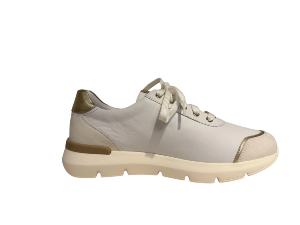 Hassia Bordeaux sneaker wit goud H