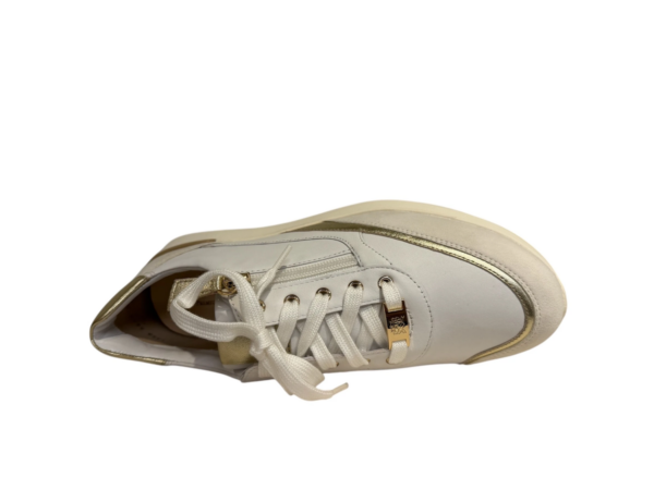 Hassia Bordeaux sneaker wit goud H