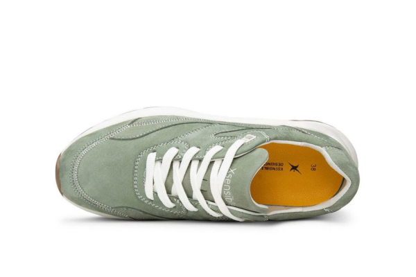 Xsensible Golden gate men H Pine groen