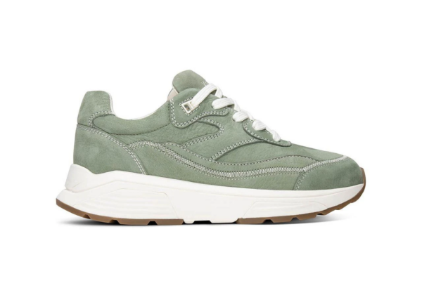 Xsensible Golden gate men H Pine groen