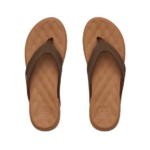 Reef Slipper d.bruine band