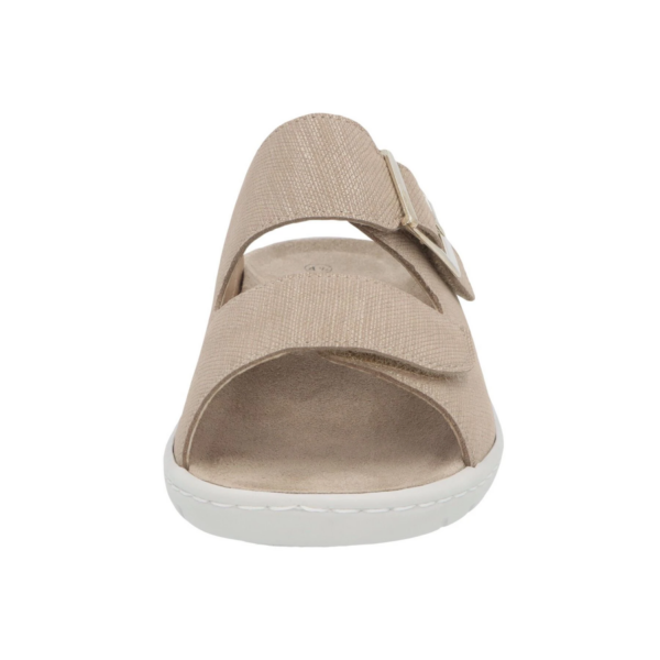 Solidus Wellness cipria