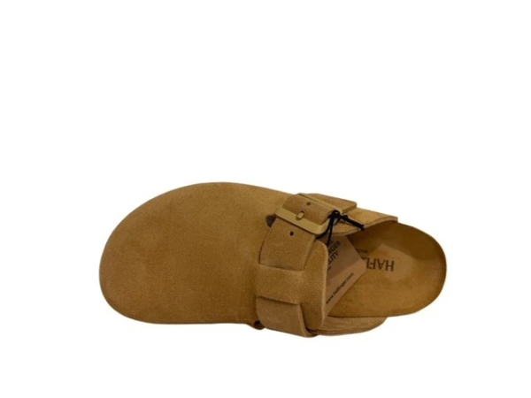 Haflinger Porto muil sahara bruin