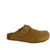 Haflinger Porto muil sahara bruin