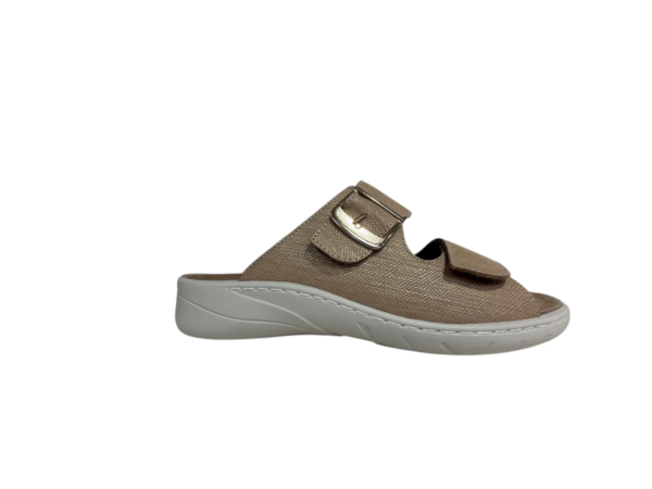 Solidus Wellness cipria