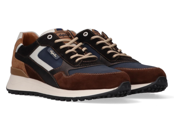 Australian Yamato blue brown tan