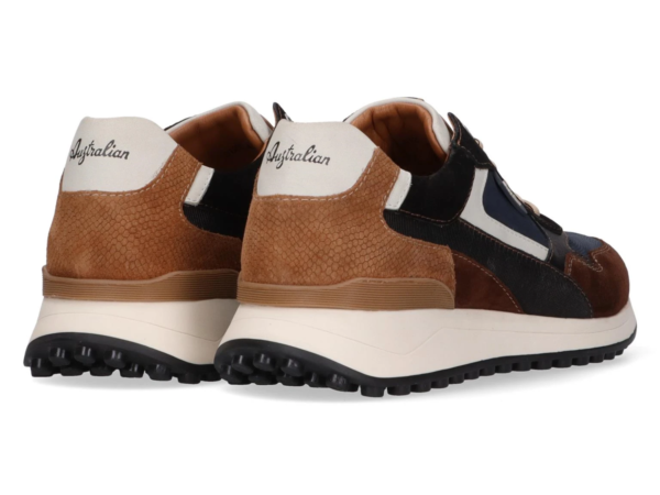 Australian Yamato blue brown tan