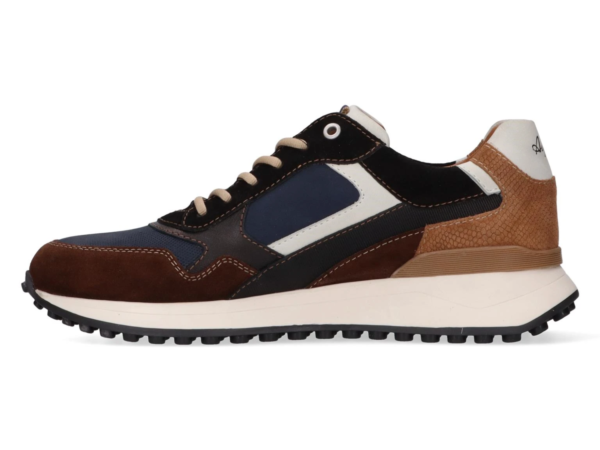 Australian Yamato blue brown tan