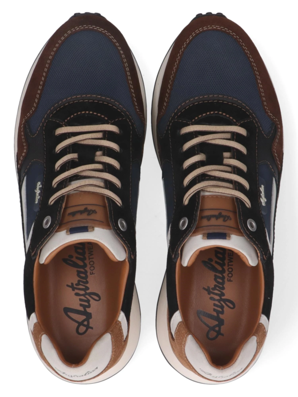 Australian Yamato blue brown tan