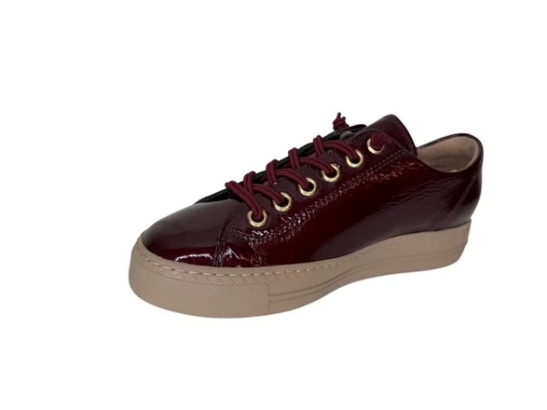 Paul Green bordo wine sneaker