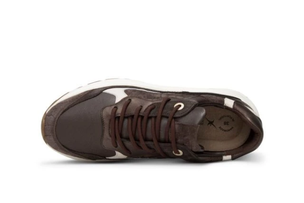 Xsensible Rainbow dark brown fantasy G